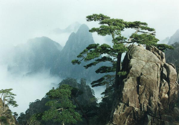 黄山风景图