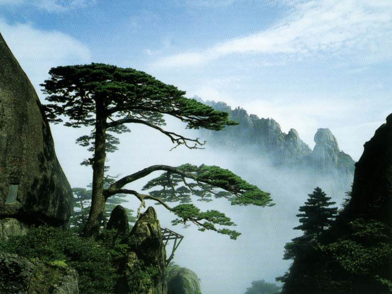 黄山风景图